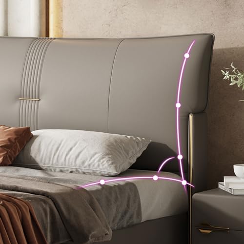 Modern Leather Queen Platform Bed