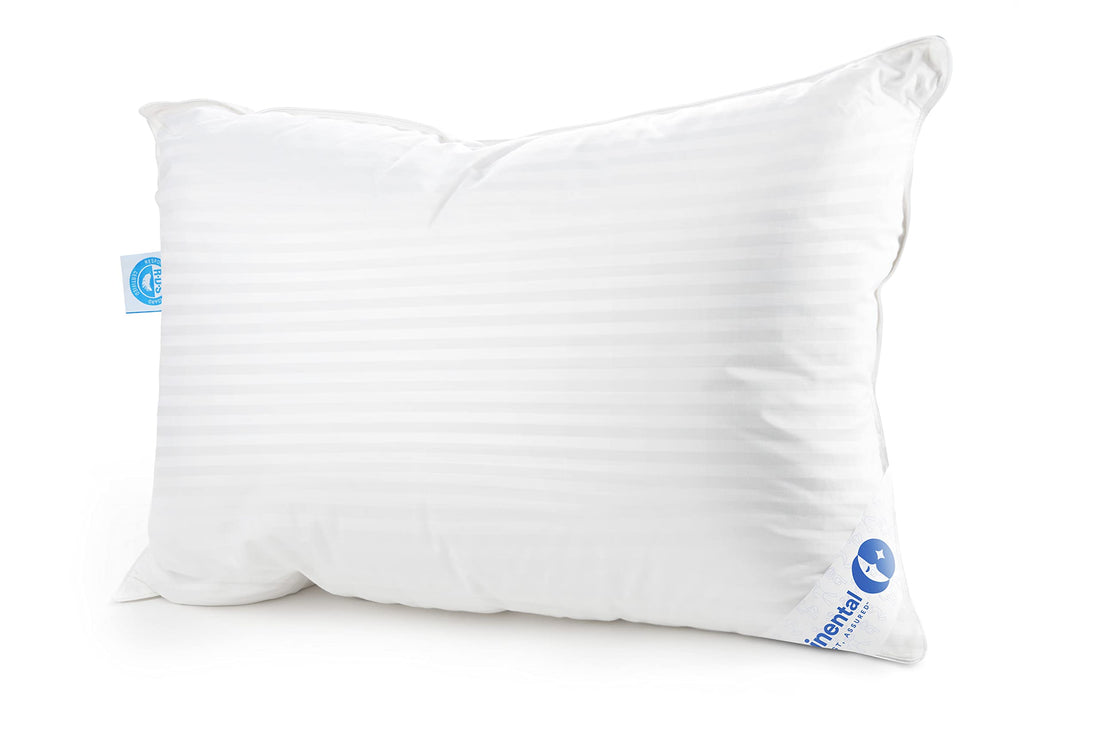 Continental Goose Down Pillow – King (2 Pack)
