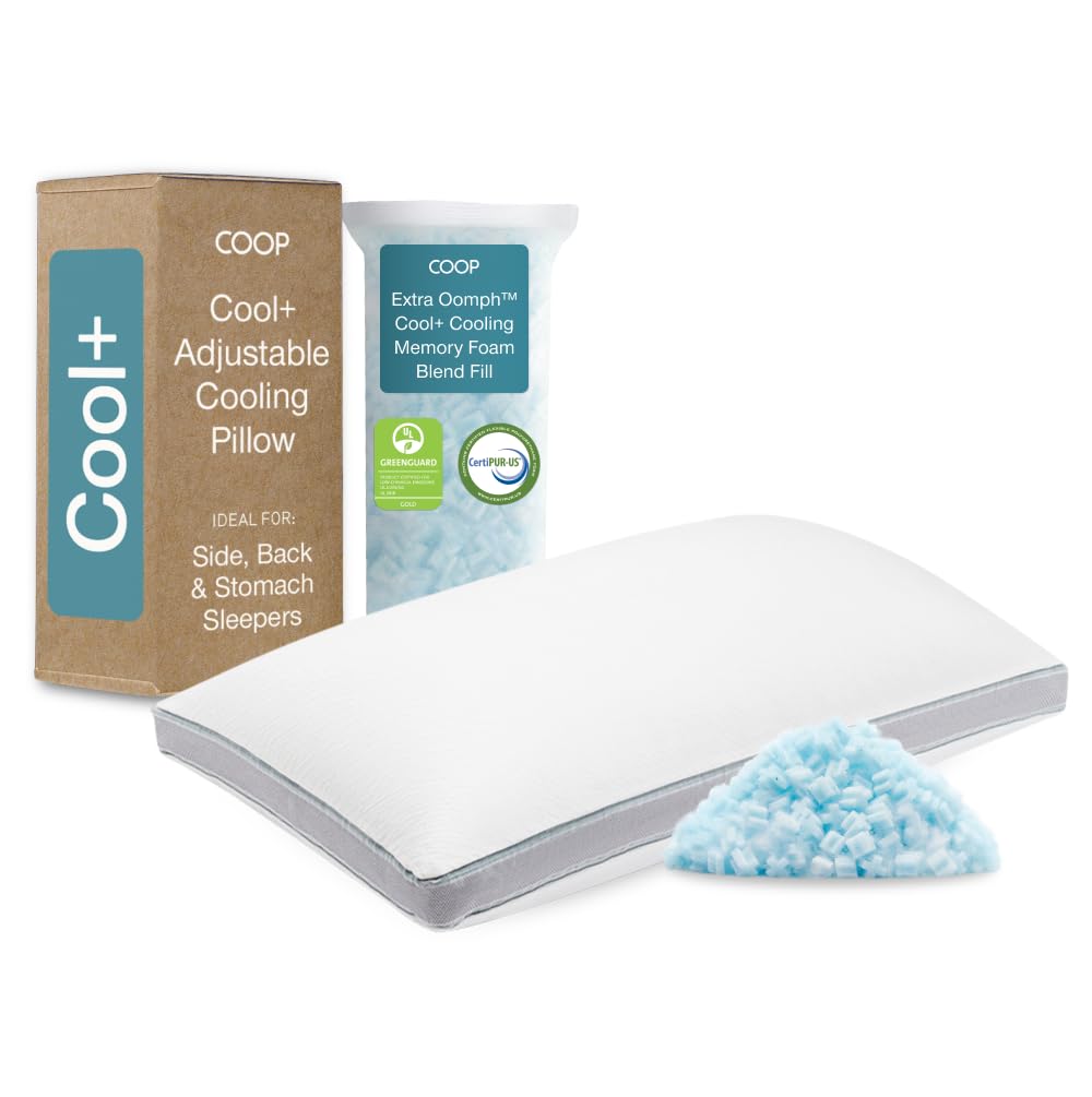 Coop Home Goods Eden Adjustable Pillow – King