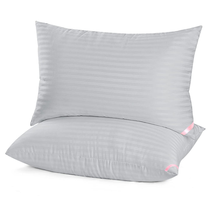 EIUE Hotel Collection Queen Pillows – Set of 2