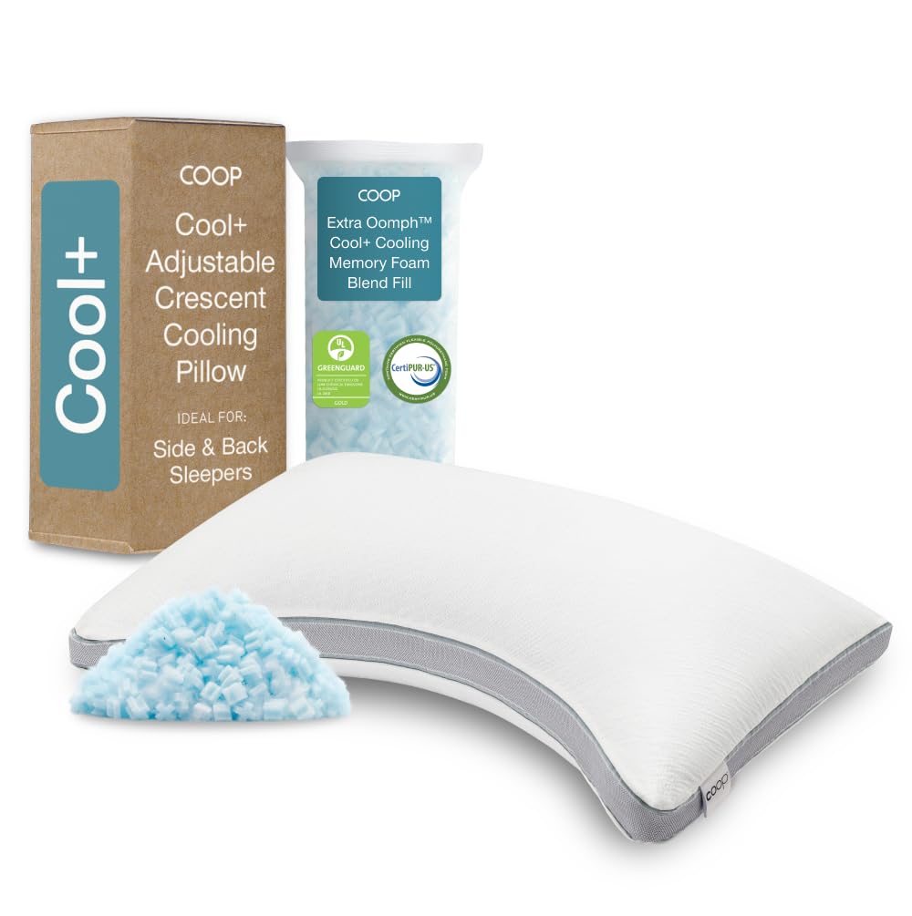 Coop Home Goods Eden Adjustable Pillow – King
