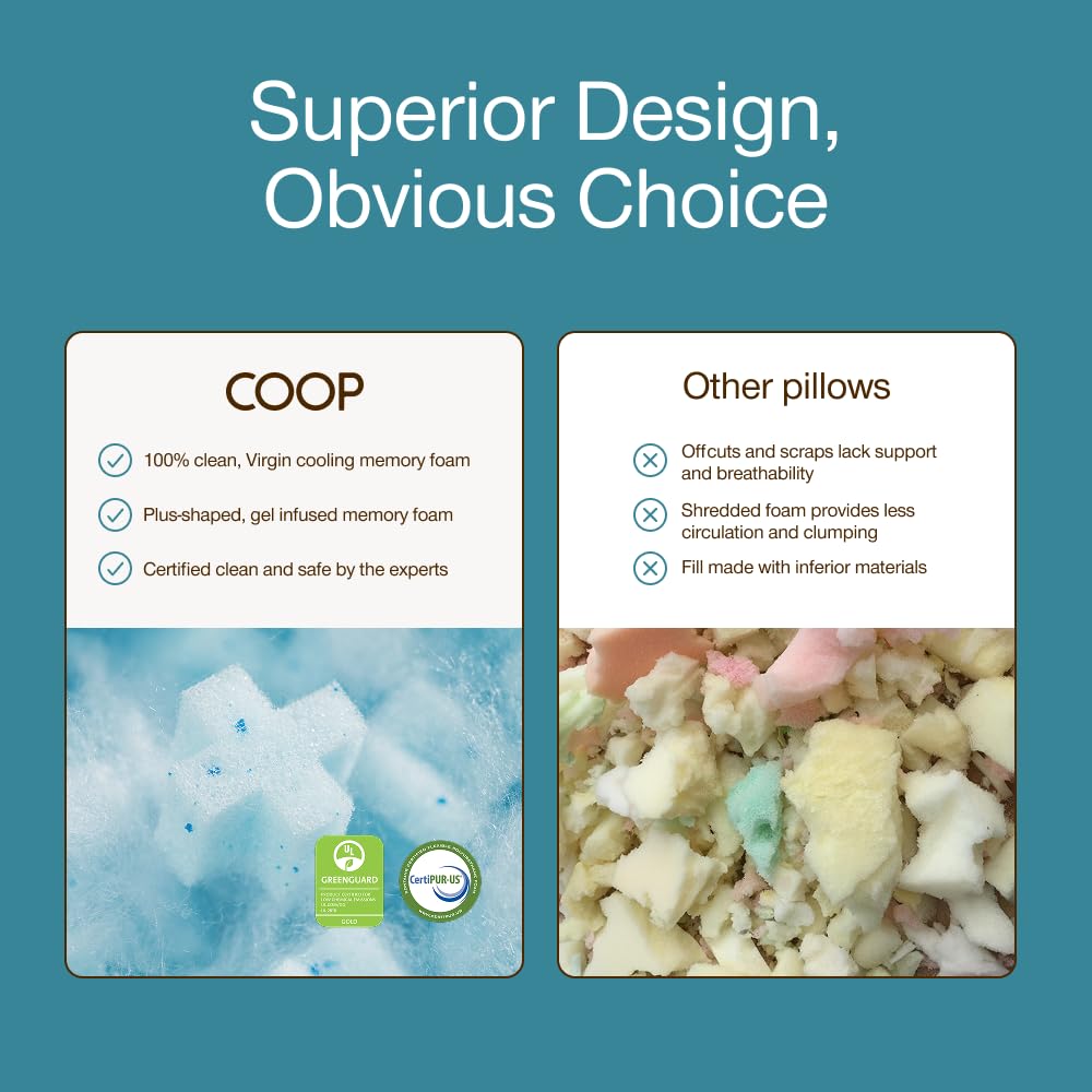 Coop Home Goods Eden Adjustable Pillow – King