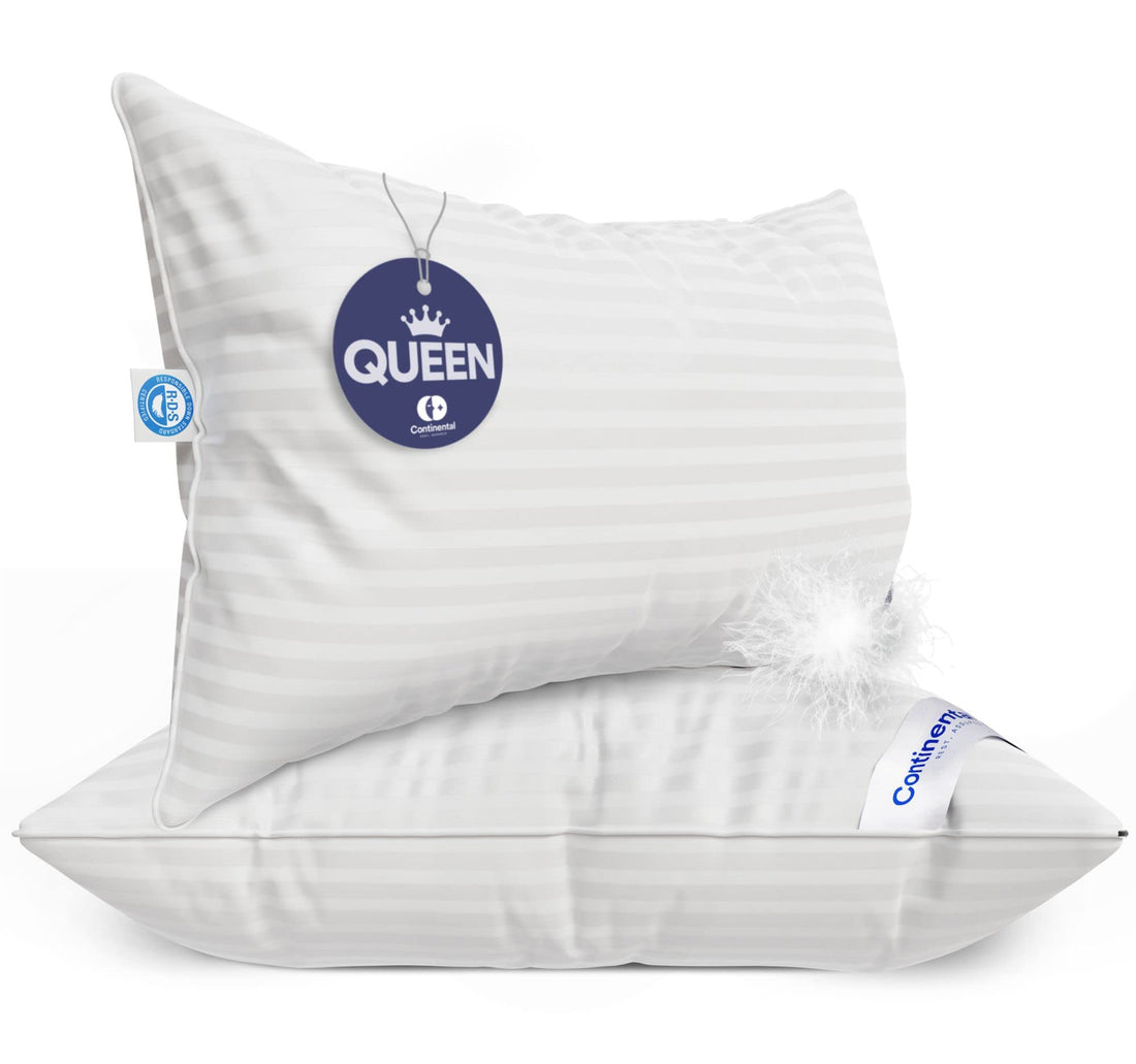 Continental Goose Down Pillow – King (2 Pack)
