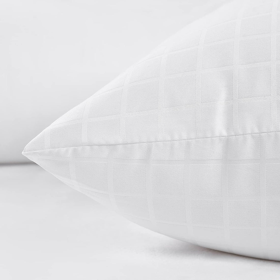 EIUE Hotel Collection Queen Pillows – Set of 2