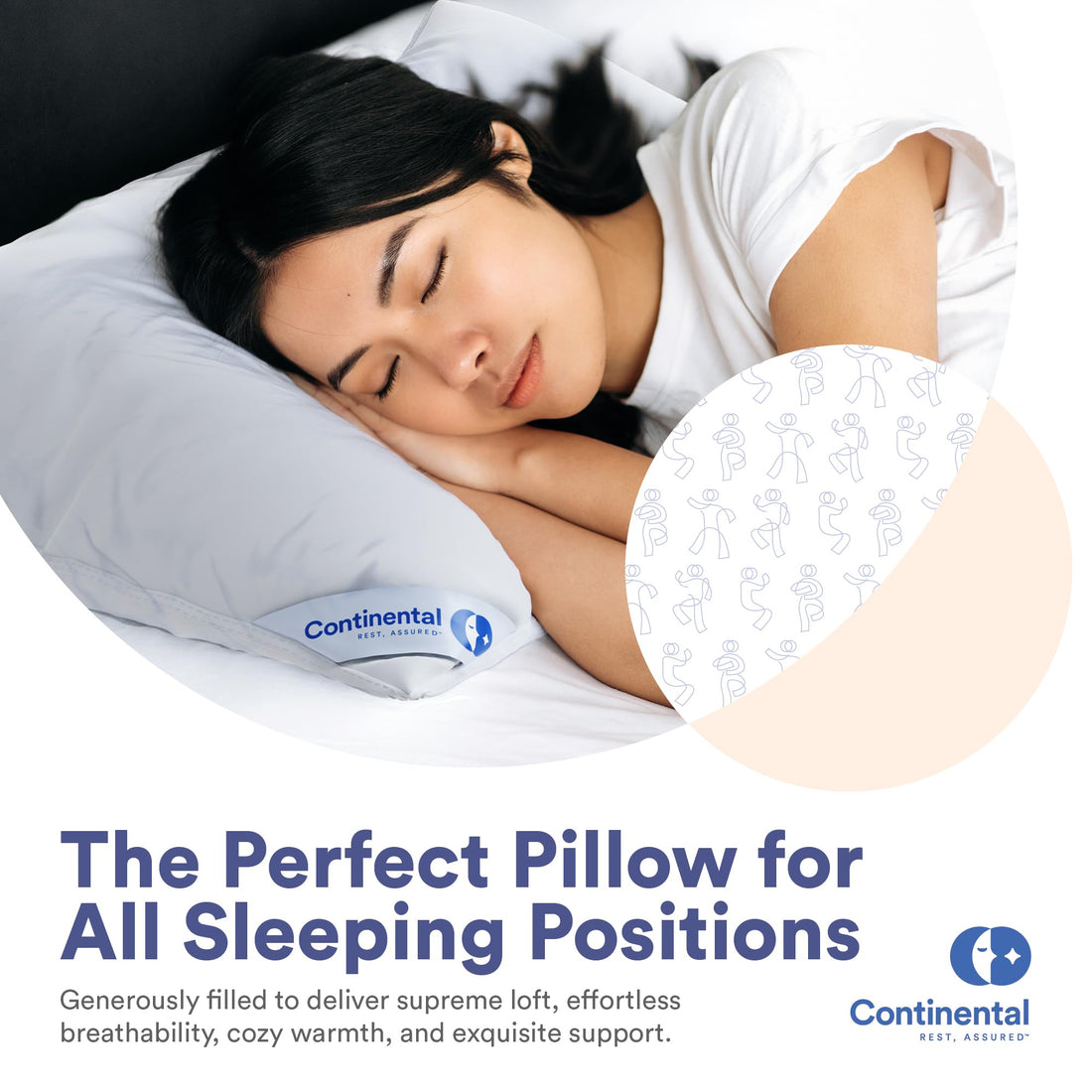 Continental Harmony White Down Pillow – King (Pack of 2)