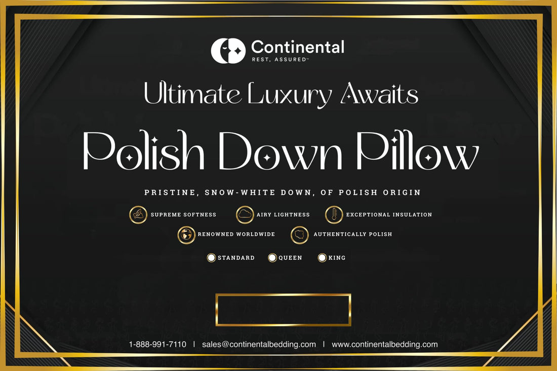 Continental Goose Down Pillow – King