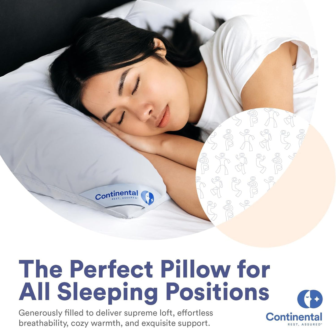 Continental Harmony White Down Pillow – King (Pack of 2)
