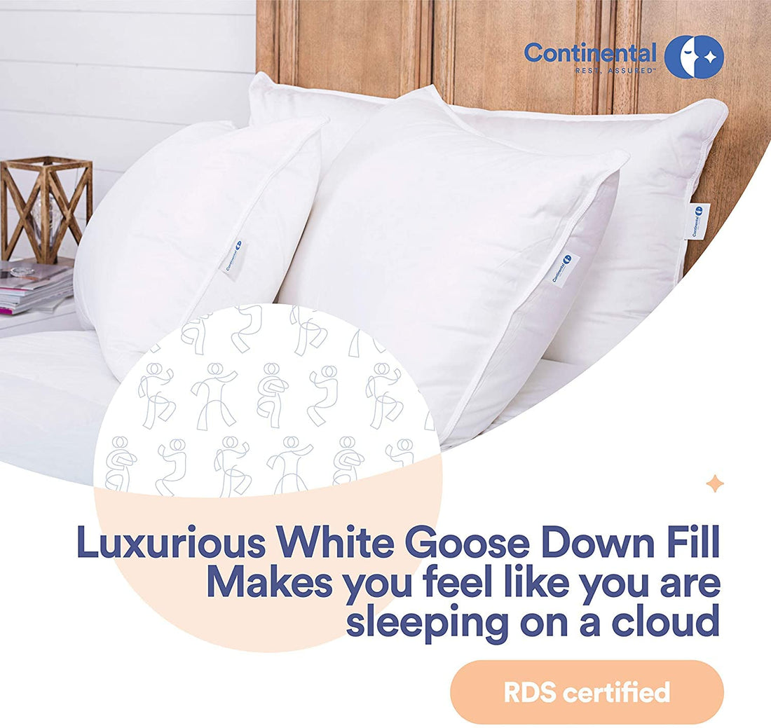 Continental Goose Down Pillow – King (2 Pack)