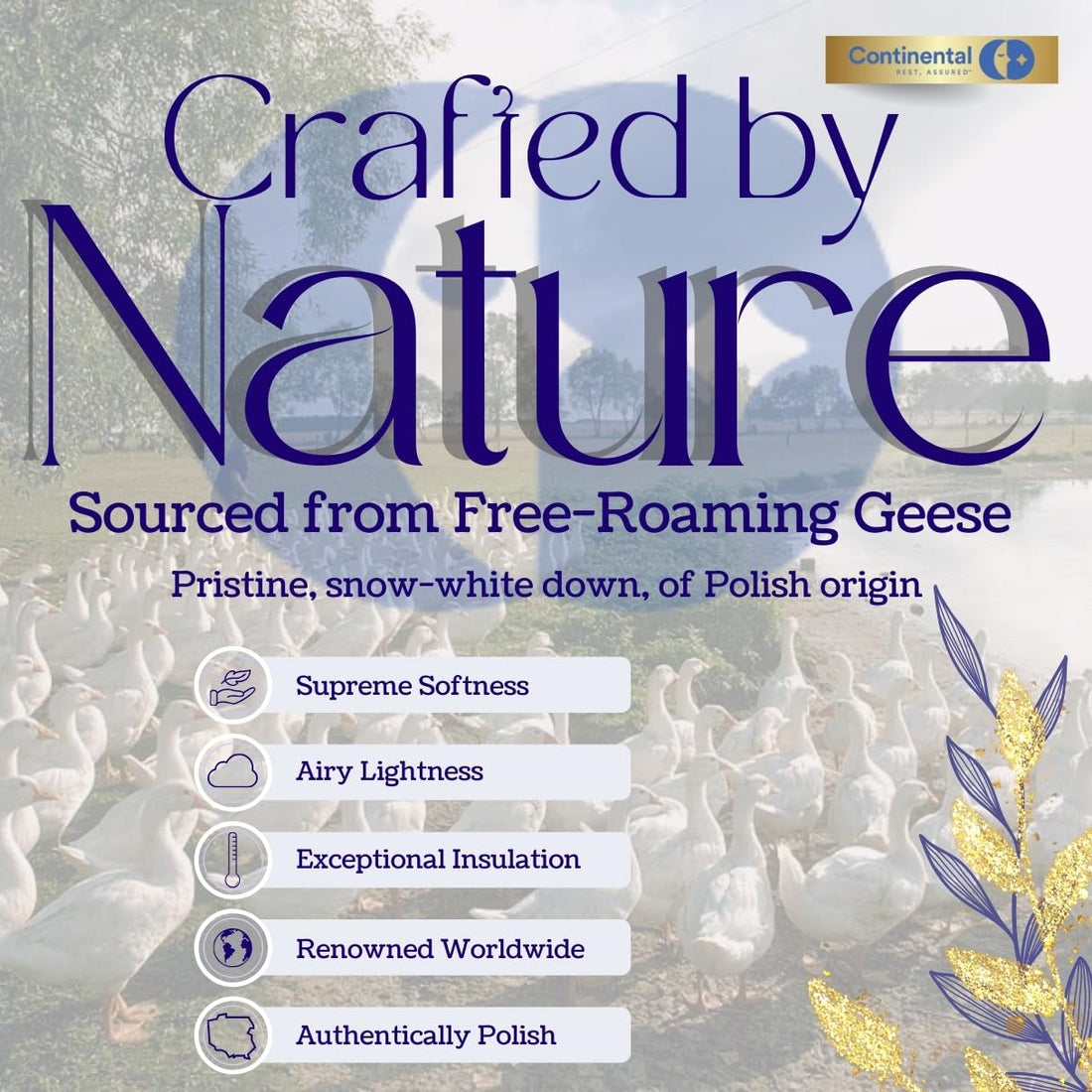 Continental Goose Down Pillow – King