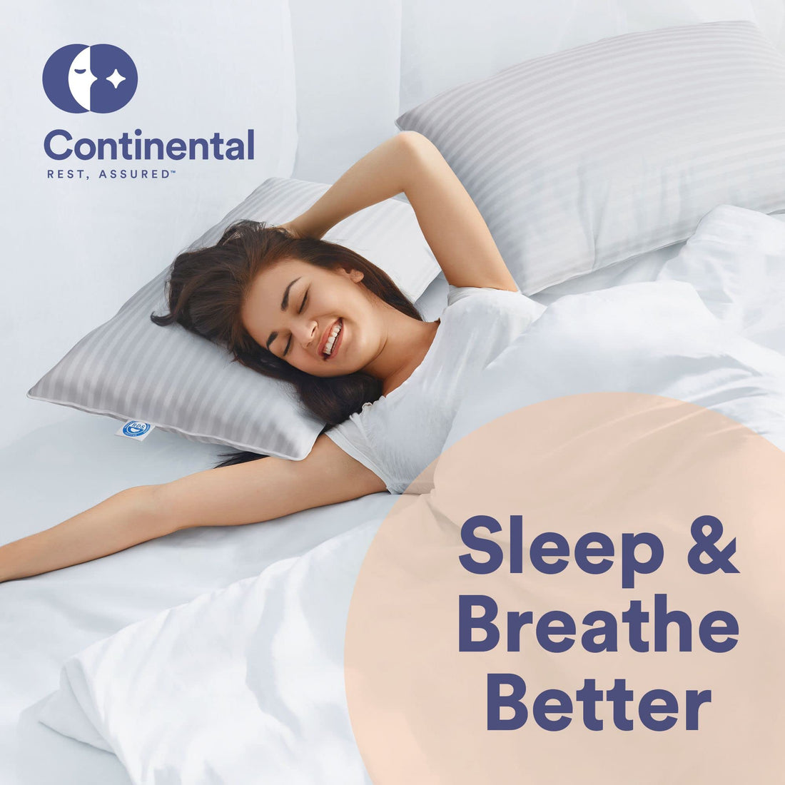 Continental Goose Down Pillow – King (2 Pack)